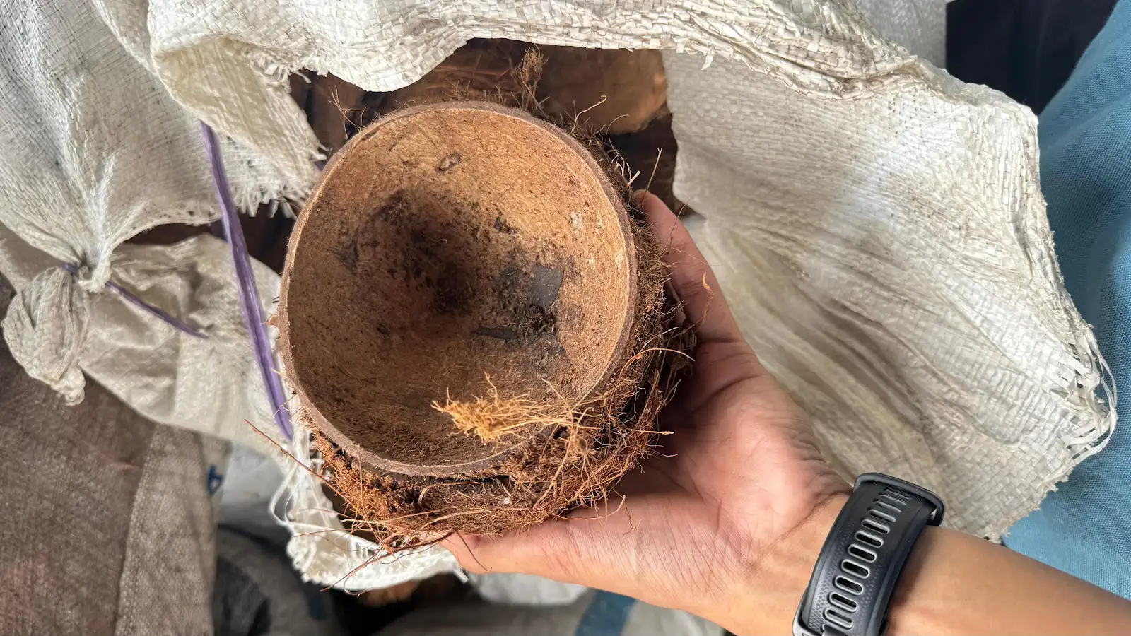 Arang tempurung kelapa