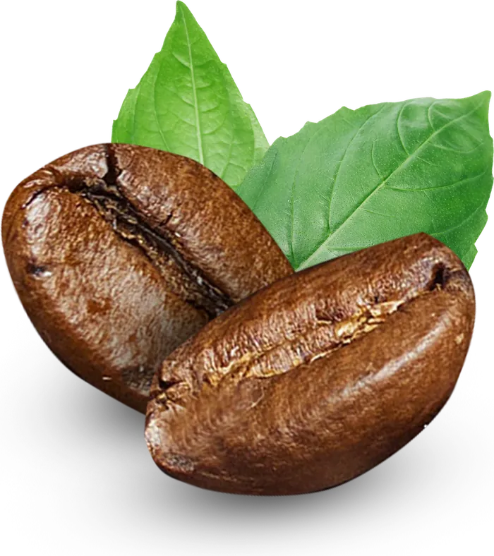 Kopi Green & Roasted
